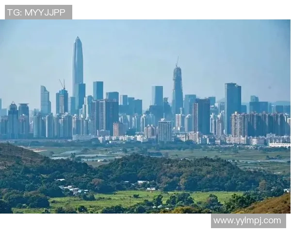 深圳排球队转型之路的挑战与机遇全景观察
